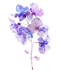 Obraz premium Delicate blue flowers painted on a white background