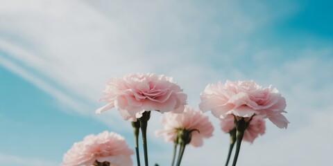 Fototapeta premium A bouquet of pink flowers with a blue sky in the background.