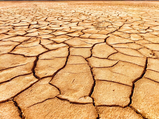 Parched soil exhibits deep cracks indicating severe drought conditions in a sunbaked landscape