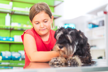 Young girl comforting her dog at the veterinary clinic