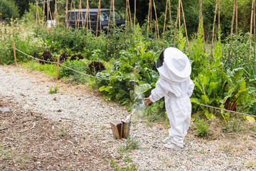 Child beekeeper learning to use a smoker in a school garden, promoting ecological awareness and...