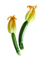 Courgettes en fleur