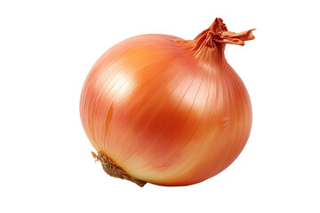 Fresh and organic onion isolated on transparent background in high resolution PNG