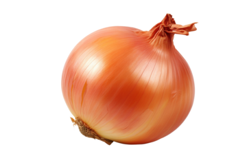 Fresh and organic onion isolated on transparent background in high resolution PNG