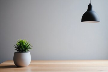 A minimalist scene featuring a potted plant and a pendant lamp on a wooden table.