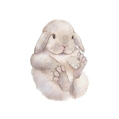 Chubby, fluffy rabbits, hares. Watercolor illustration. Animals, pets in delicate colors. Children's style. Design for children's textiles, rooms, stickers, packaging, postcards. Element for Easter