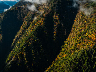 Aerial view of beautiful autumn forest landscape in the sunrise