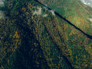 Aerial view of beautiful autumn forest landscape in the sunrise