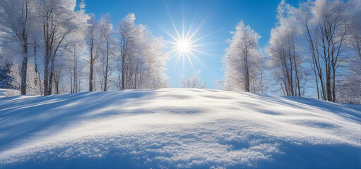Obraz premium Winter landscape with trees and snow. Sunlit snow landscape. Blue sky and snow. 