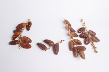 dates on white background