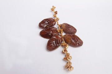 dates on white background
