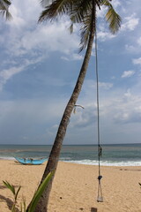 Tropical Birds © peter_qn