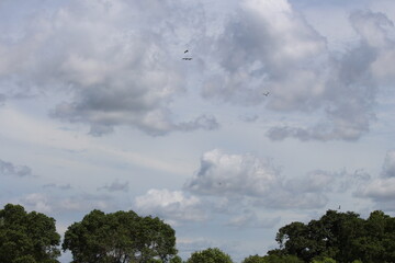 Yala Nationalpark