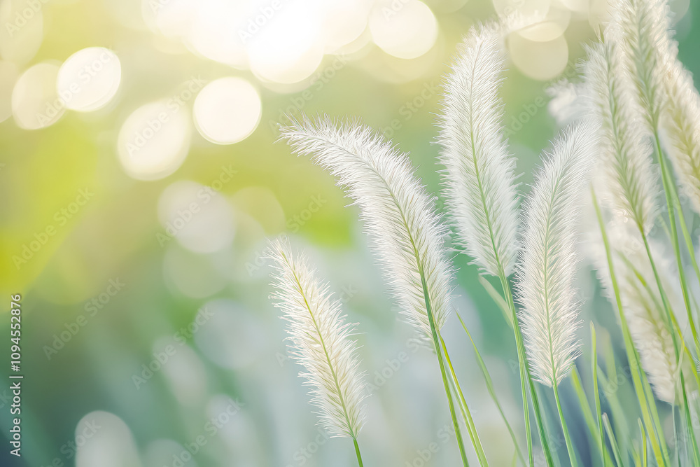 Poster field of grass with a blurry background and a few bright lights. the grass is tall and lush, creatin