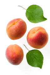 Abricots et feuilles