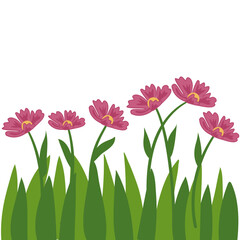 Fototapeta premium set of flower illustration