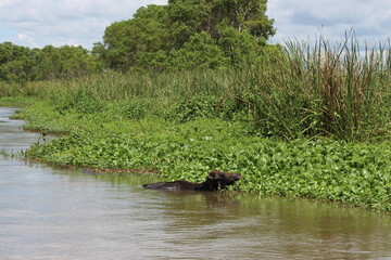 Yala Nationalpark