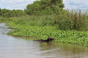 Yala Nationalpark
