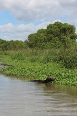 Yala Nationalpark