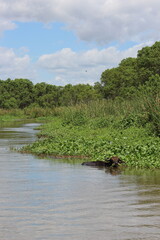 Yala Nationalpark