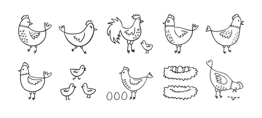 Hand drawn cute hen chickens set. Doodle farm chickens sketch style. Funny outline domestic birds, poultry concept.
