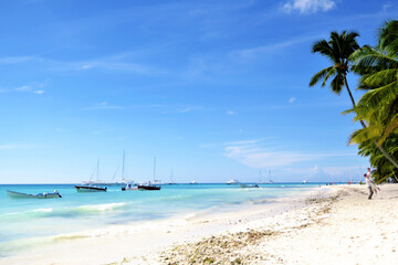 Ocean sunset and sunrise in the Dominican Republic with palm trees