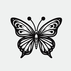 black and white butterfly