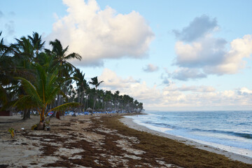 Dubai skyscrapers church palm trees ocean water park hotels interior