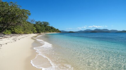 White Sand Beach with Clear Blue Water and Lush Green Trees