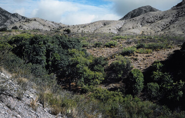 Organ Mountains. Bare desert mountains. Rocks. Desert. New Mexico USA. Slide reproduction from 1984.