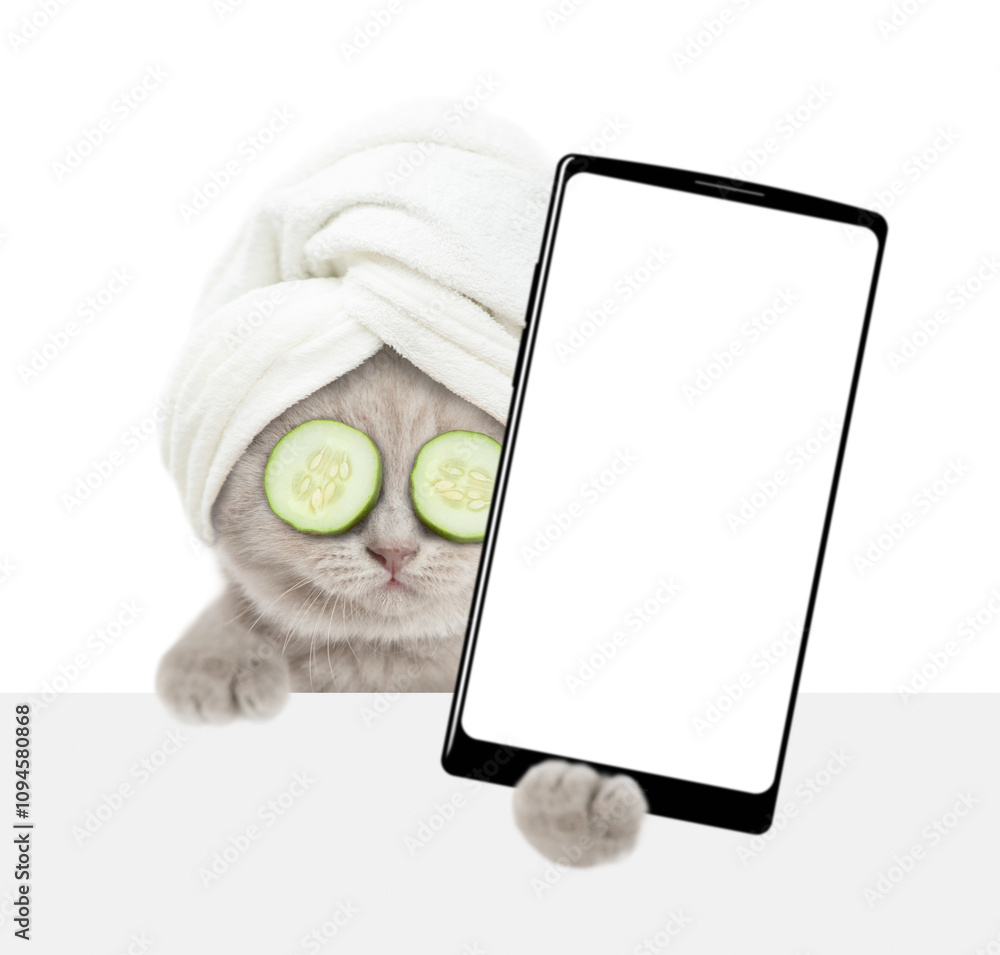 Aufkleber cute tiny kitten with towel on it head holds big smartphone with white blank screen in it paw above 