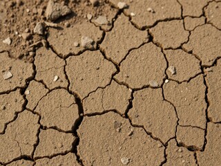 Fototapeta premium Close-up of dry, cracked dirt ground texture, weathered