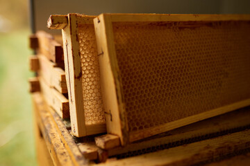 Stack of wooden frames with honeycombs.