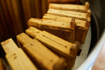Stack of wooden frames with honeycombs.