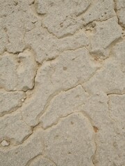 Obraz premium A close-up shot of rough, textured stone surface suitable for background or design element, background