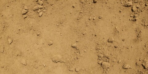 Rough and gritty dirt texture, ideal for background design, soil