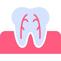 Tooth Anatomy Icon