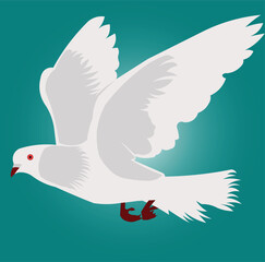 pigeon bird vector illustration design clean and unique latest 