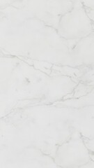 Obraz premium Natural white marble texture with delicate grey veining and smooth polished surface, elegant