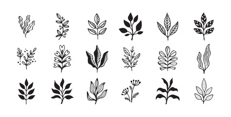 Hand drawn outline doodle floral elements leaf set. Plant leaves vector design