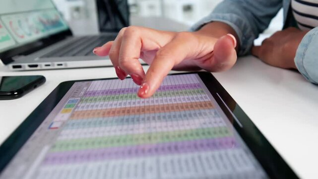 Electronic Spreadsheet Analyst Or Auditor Using Software
