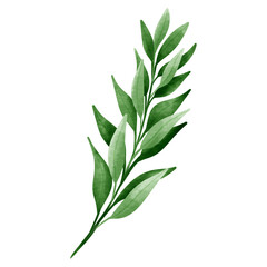 ramo di foglie greenery