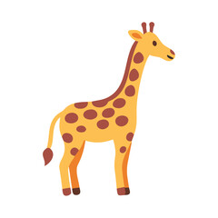 Obraz premium giraffe isolated on white