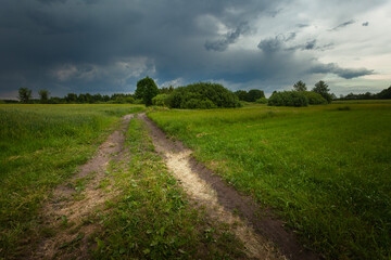 Dark storm cloud over meadow with dirt road, Nowiny, Lubelskie, Poland