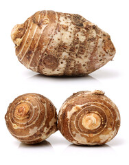 Taro on a white background