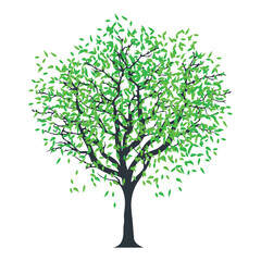 Tree with leaves