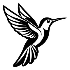 black and white hummingbird