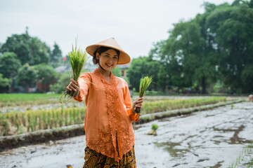 A woman is skillfully harvesting rice amidst a lush, vibrant green field beneath cloudy skies