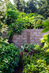 architecture abandonnée sur le rivage de la côte atlantique dans la banlieue de Dakar au Sénégal en Afrique de l'Ouest