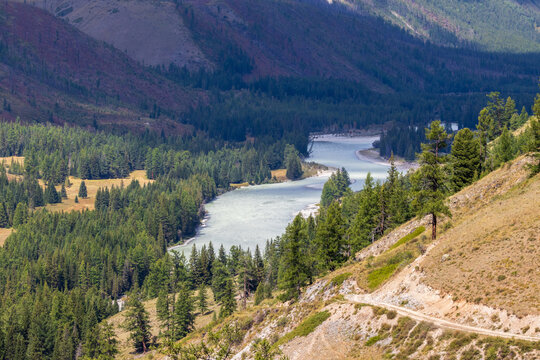Altai mountains. Argut river valley is one of the most beautiful places in region. Altai Republic, Siberia, Russia